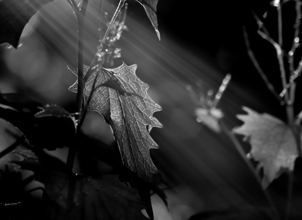 Photograph by Vitalii Kaznin