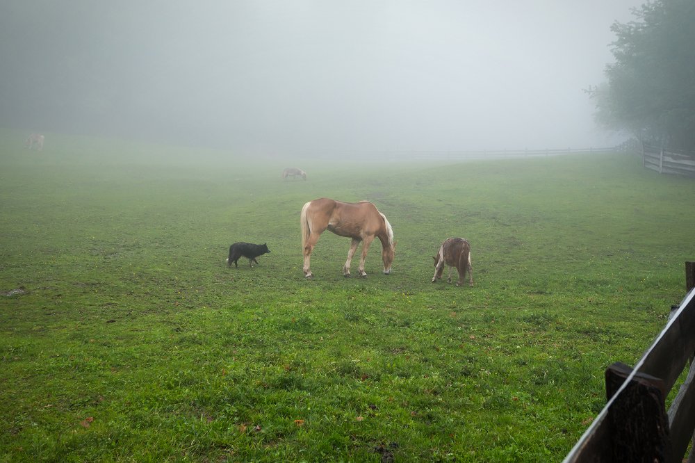 Photograph by Владислав