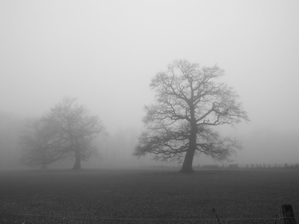 Photograph by Vitalii Kaznin