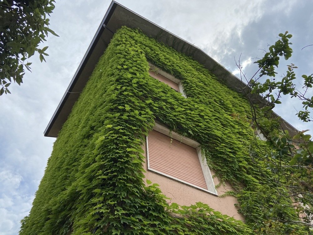 Photograph by Loreta Tepshi