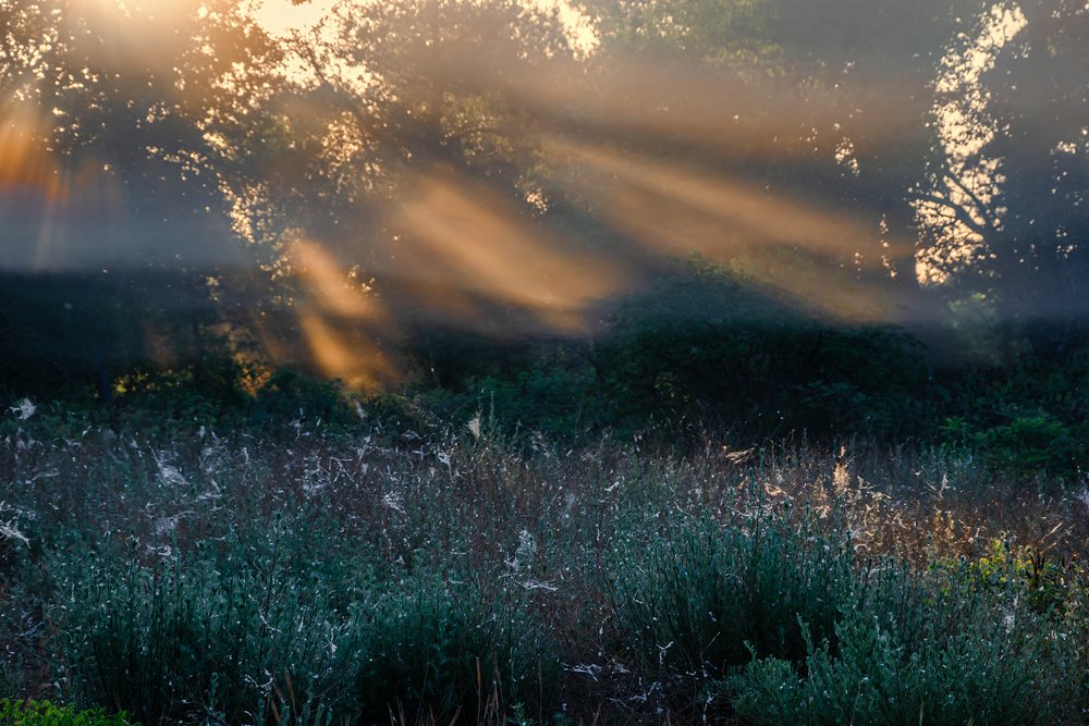 Лучистый туман