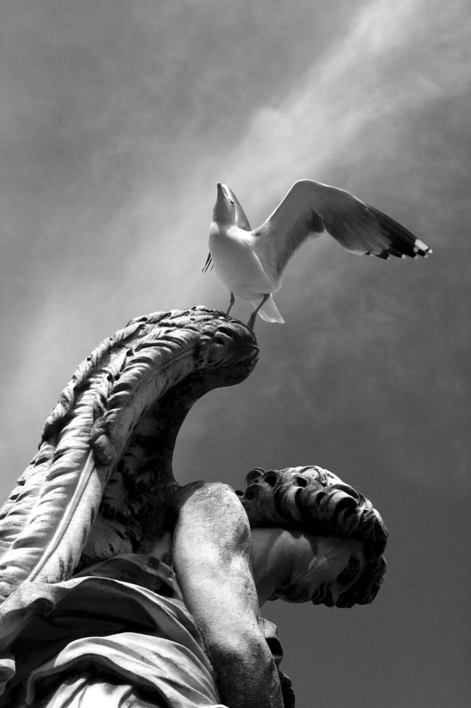 Angel and bird together