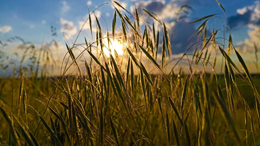 Photograph by Назарий Гандей