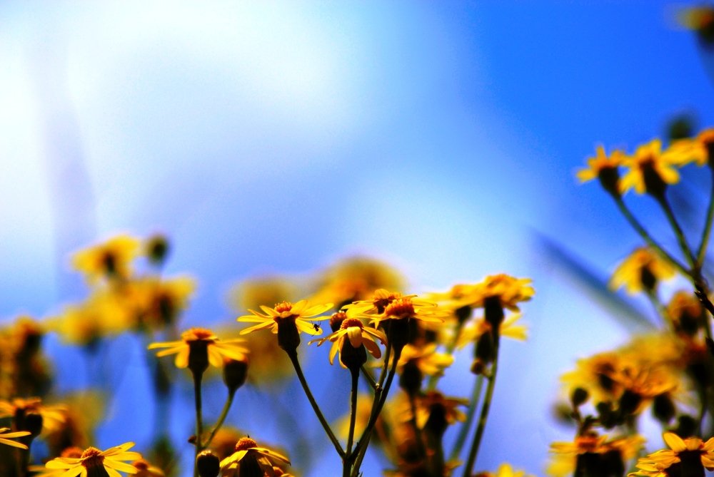 Photograph by БРОВКО АЛЕКСАНДР ИВАНОВИЧ