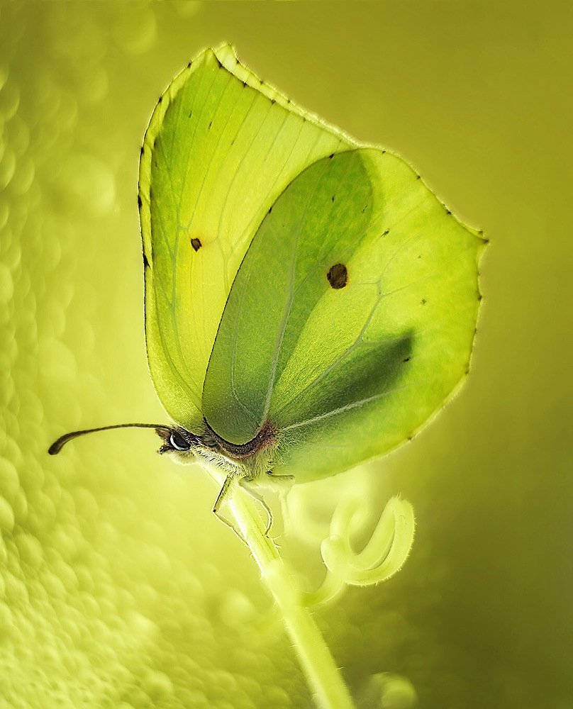 Photograph by Тарасова Ольга