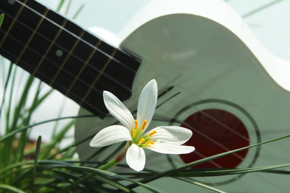 Photograph by Елена Сахарова