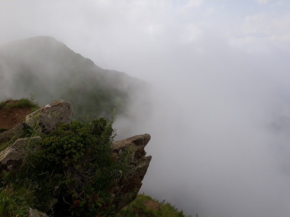 Photograph by Ирина Алексеевская