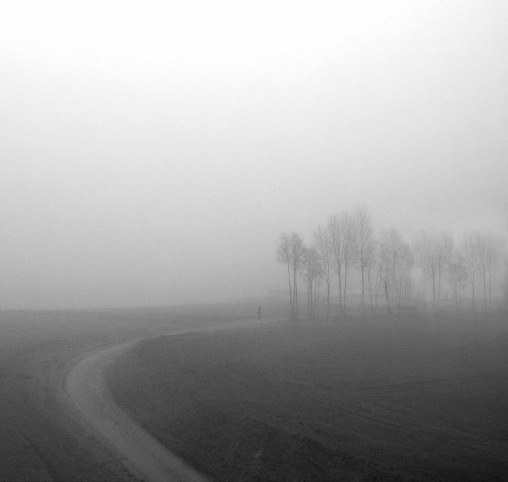 Фотография автора Людмила Прокофьева