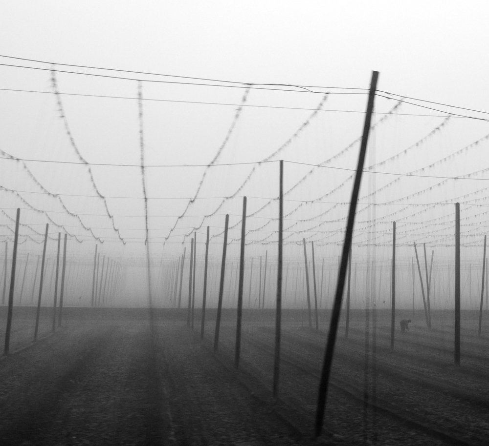 Хмельные работы