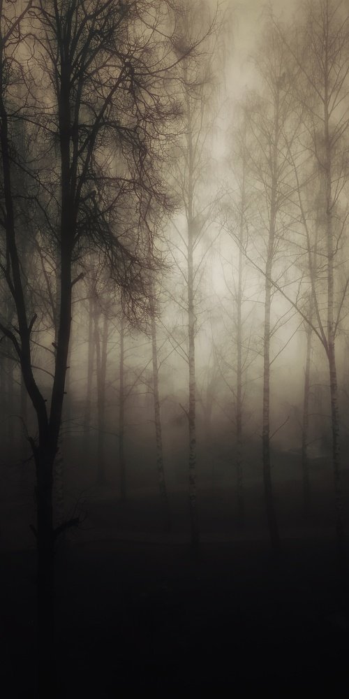 Photograph by Юлия Марфонова