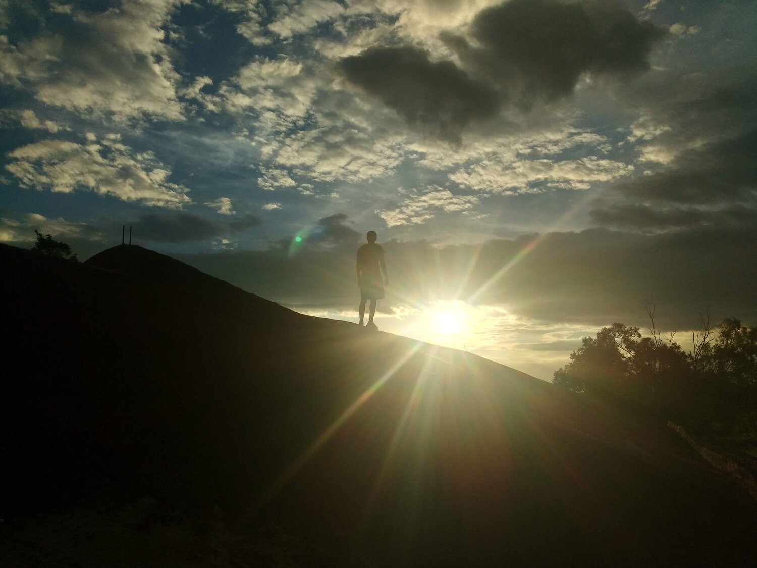 Photo #4661457
