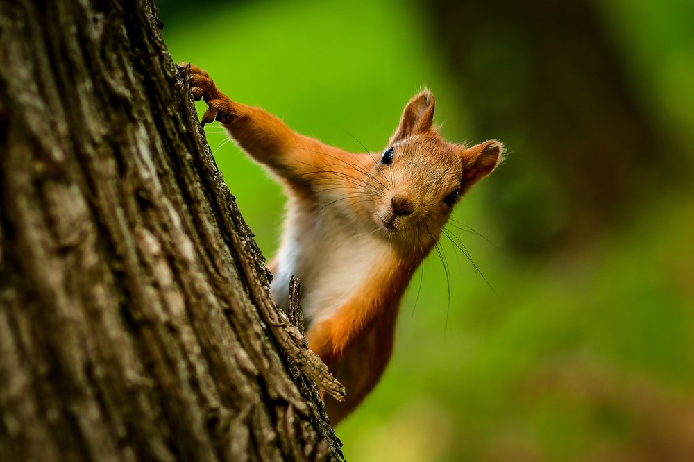 Photograph by Анастасия Донская