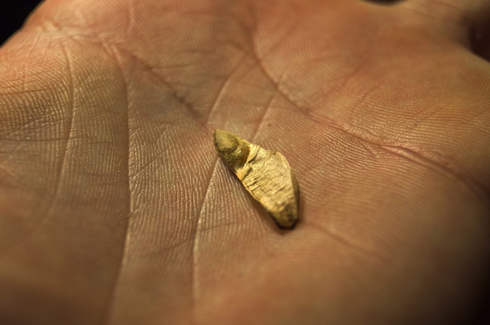 Фотография автора Артемий Николаевич