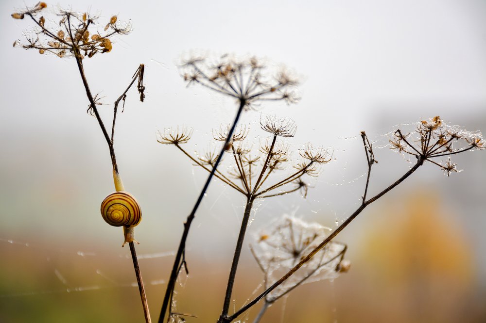 Photograph by Зоя Куренкова