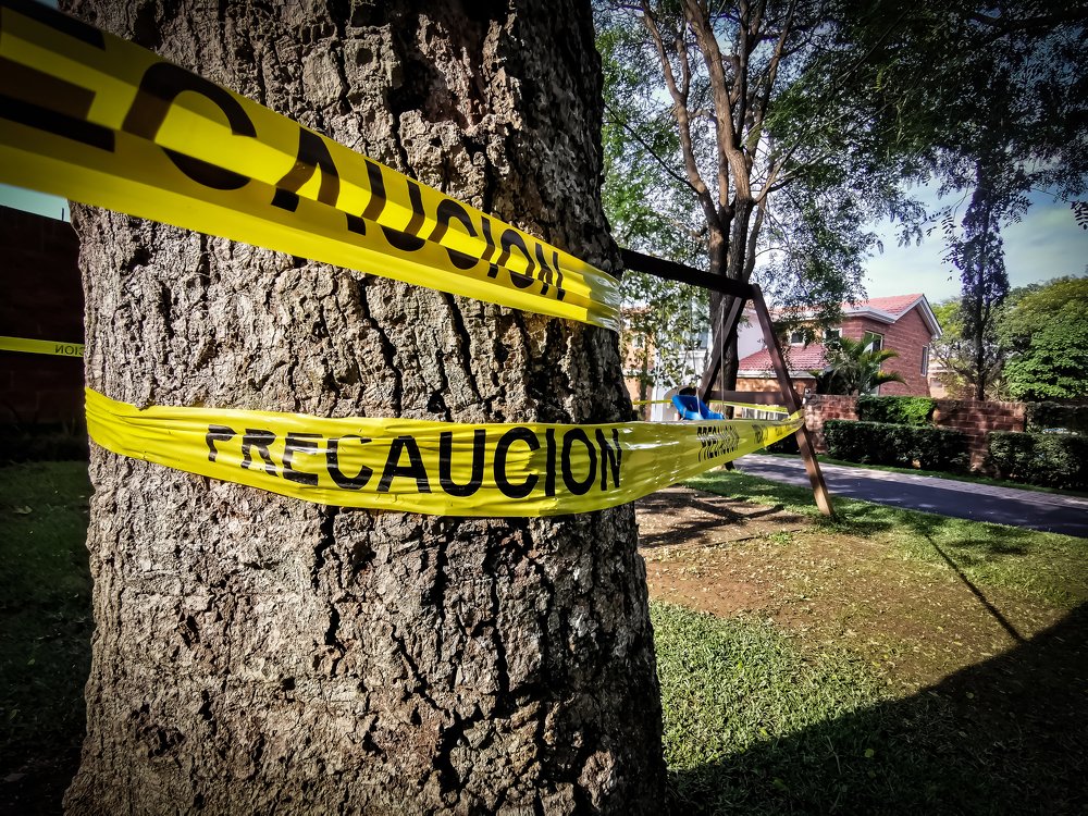 Photograph by Melany Aldana Benavente