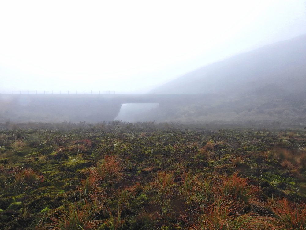 Photograph by MARIO HUMBERTO GARCIA GONZALEZ