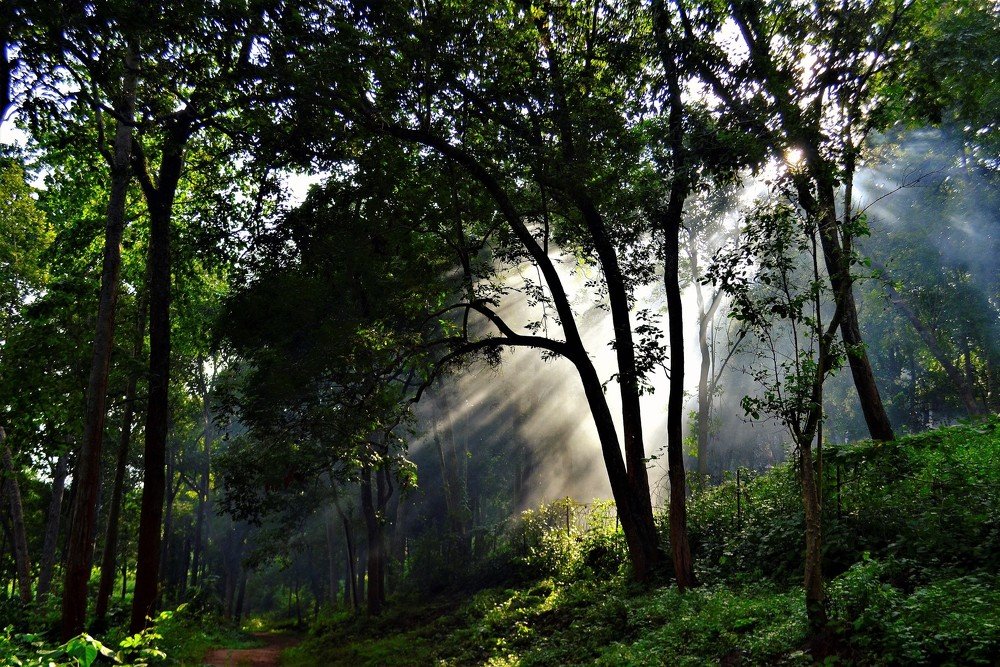 Фотография автора Saikat Mukherjee