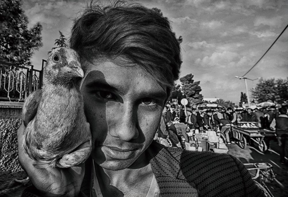 Фотография автора AYLIN EROZCAN