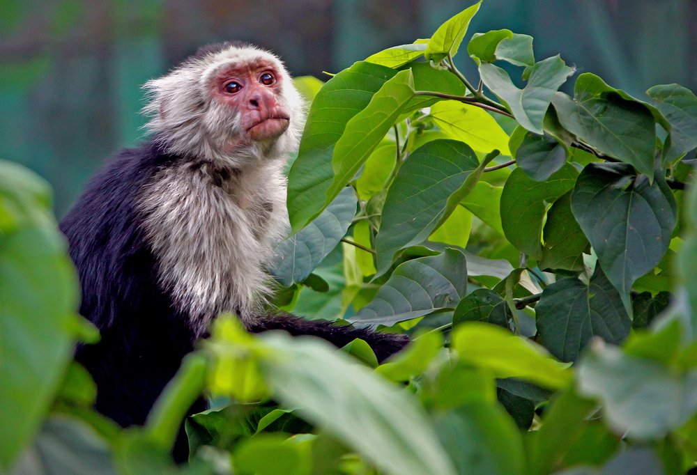 Photograph by Shibram Nag