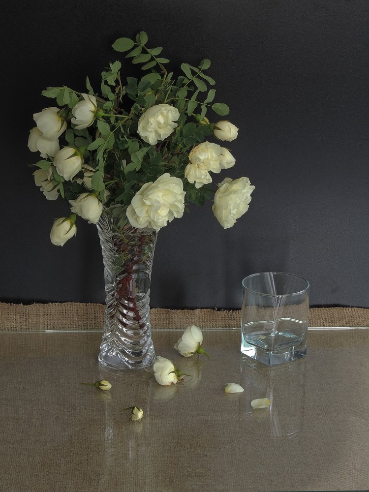 Photograph by Vladimir