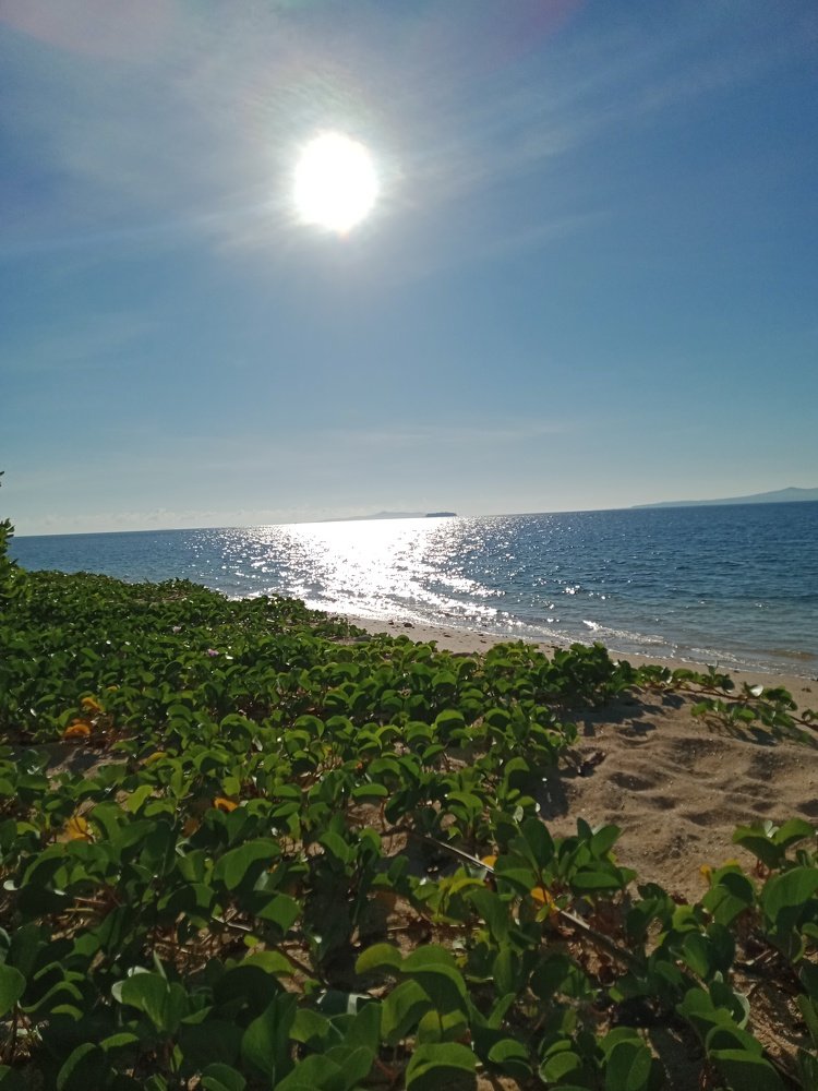 Photograph by Melchor Z. CANARIA JR., RM, RN, LPT,MAN