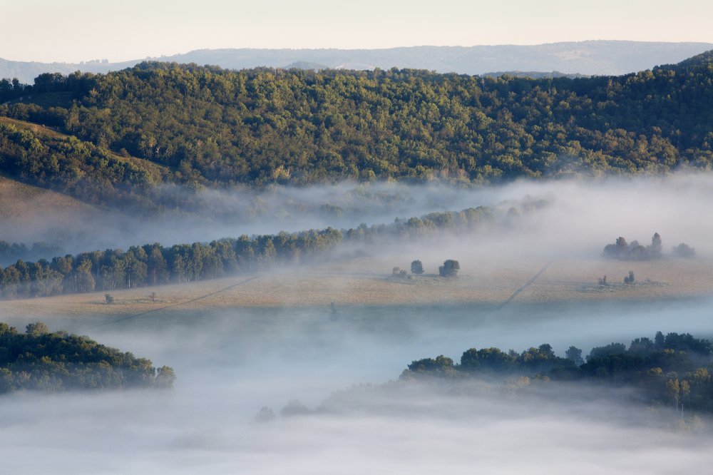 Фотография автора Олег Грачёв