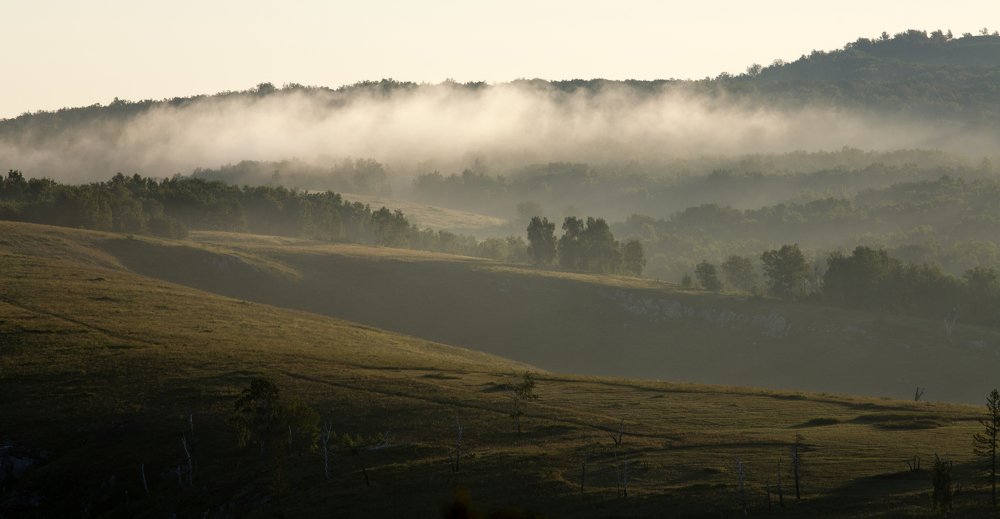 Фотография автора Олег Грачёв
