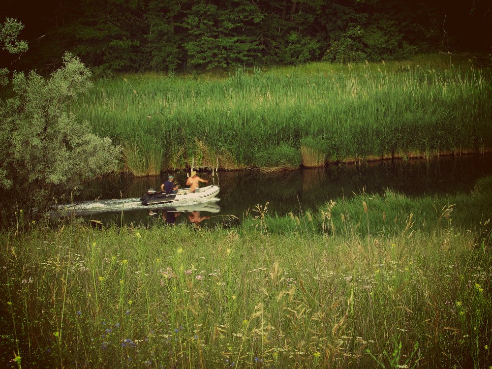 Река Кагальник в июне.