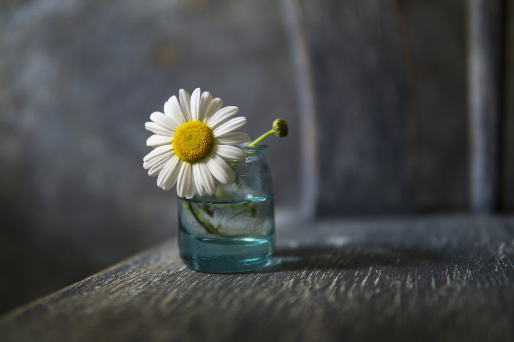 Photograph by Diana Sklarova