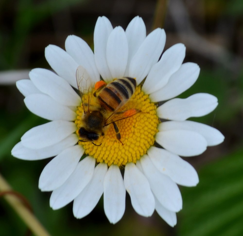 Photograph by Артур Хороший