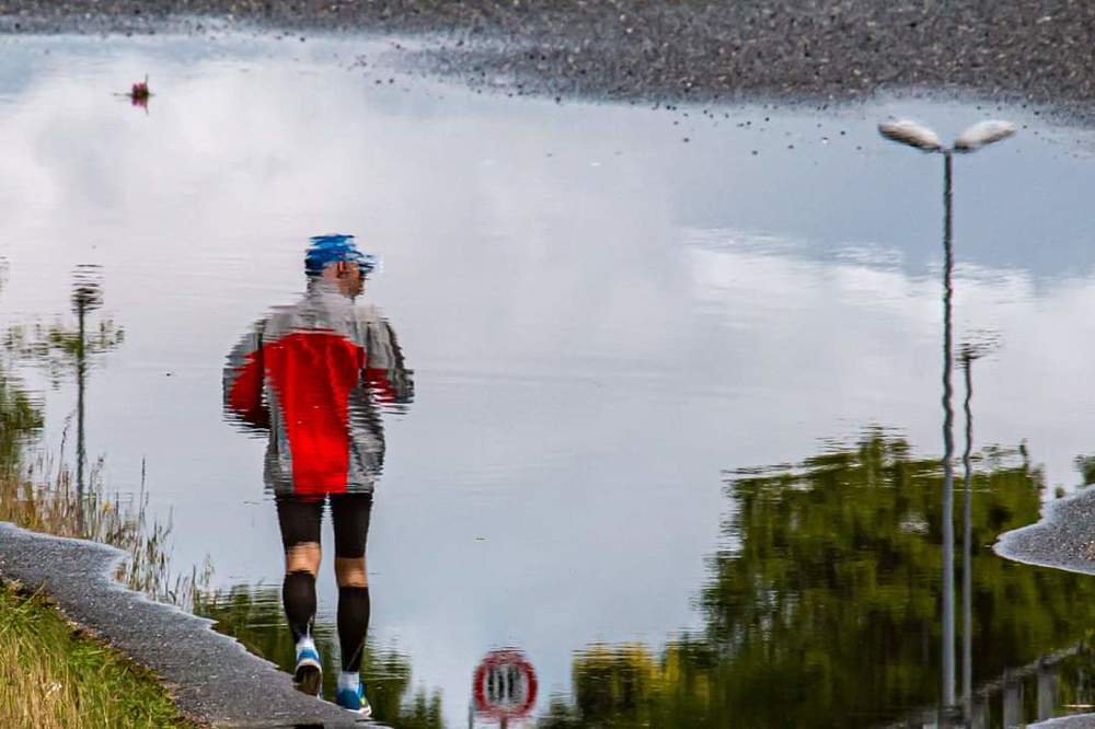 Reflexes