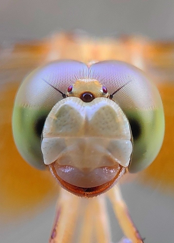 Sharing smile with the world.