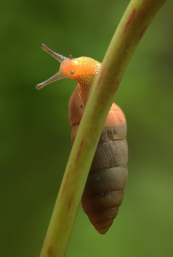 Slow and steady wins the race