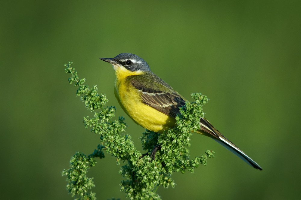 Photograph by Константин Усов