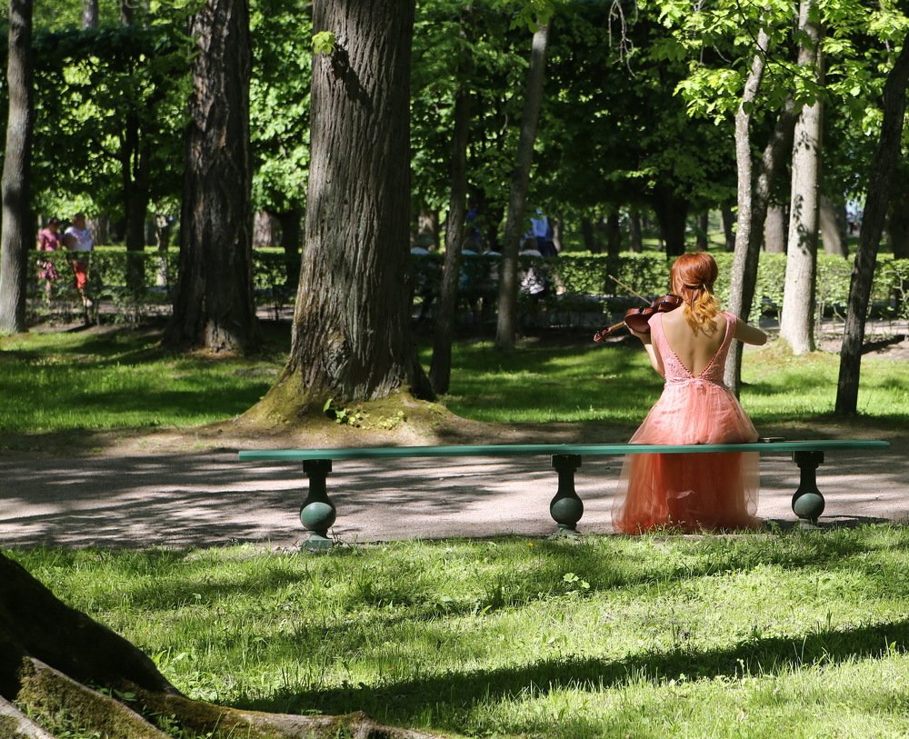 Photograph by Александр Танчук