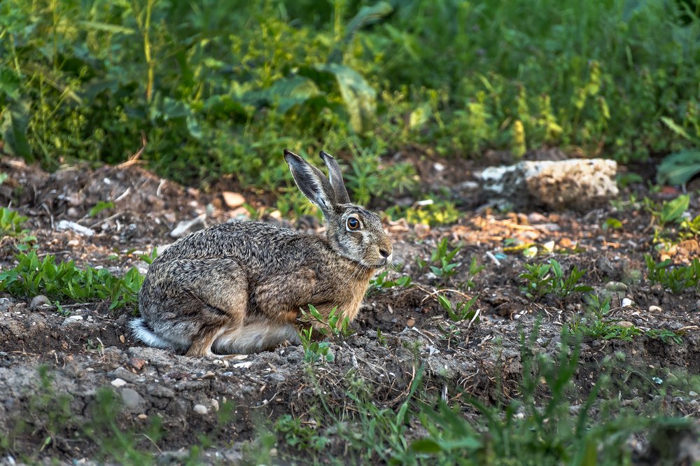 Фотография автора Zakharov Armen