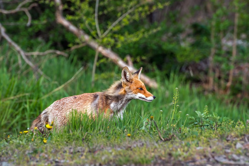Фотография автора Zakharov Armen