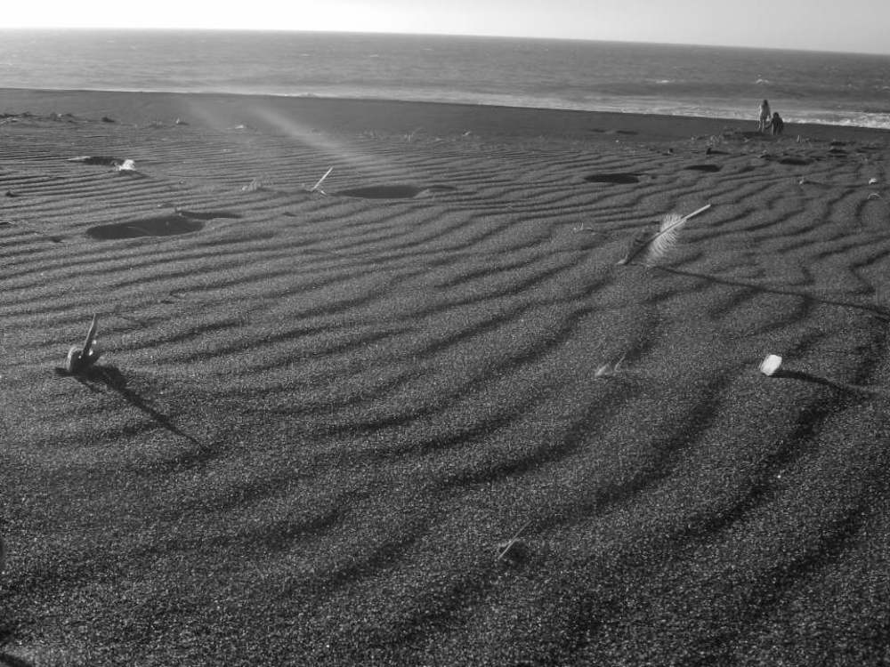 Photograph by juan pablo miño