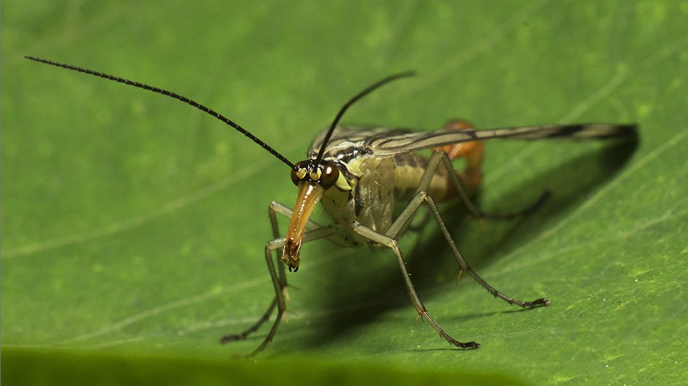 Фотография автора Марина Кулакова
