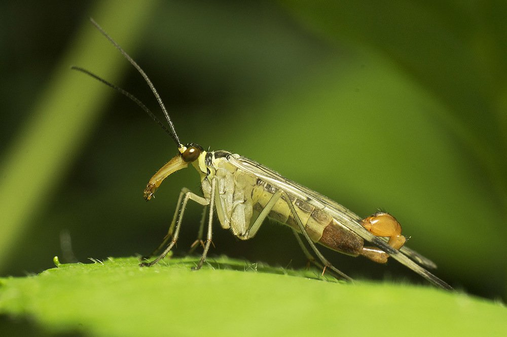 Фотография автора Марина Кулакова