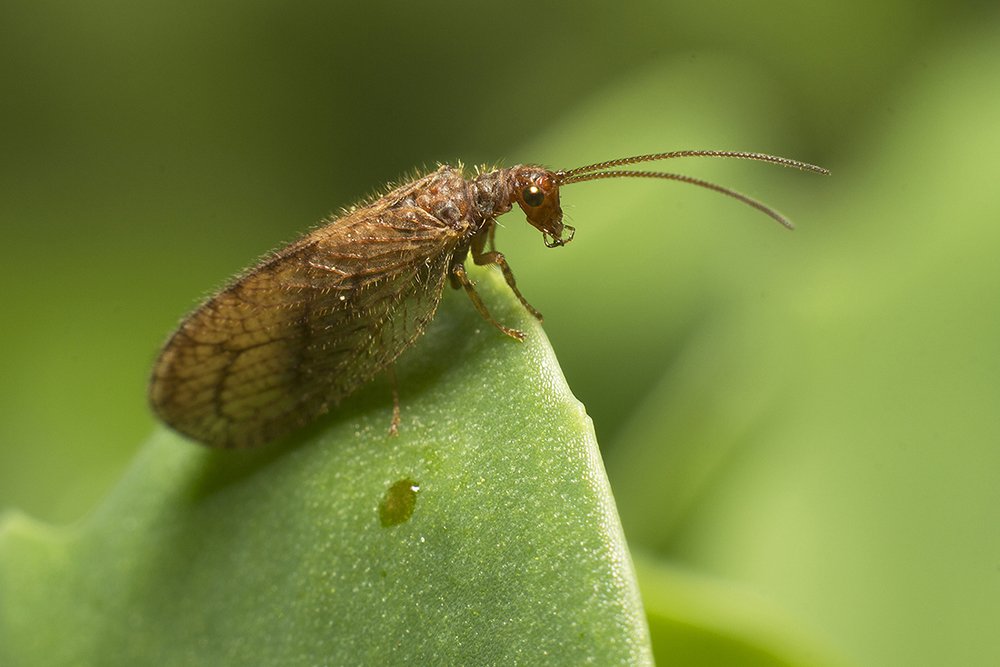 Фотография автора Марина Кулакова