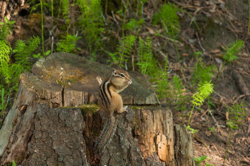 Photograph by Вадим Басов