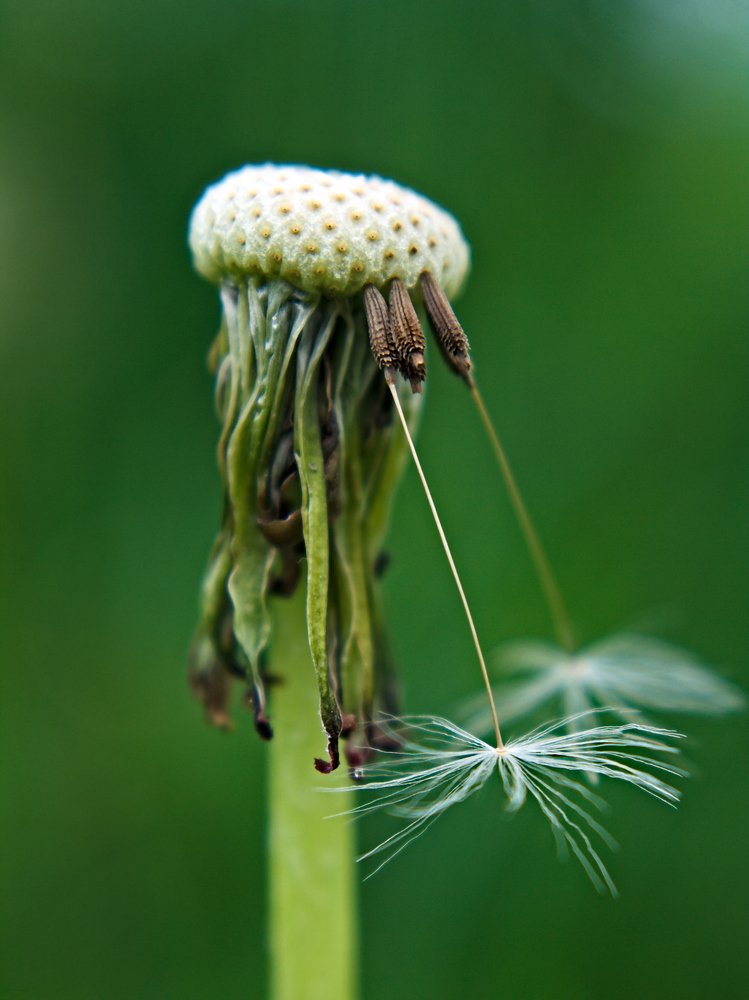 Photograph by Евгений Козлов