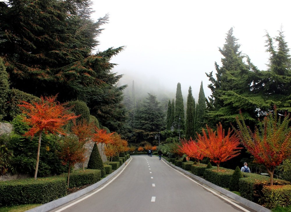 Дорога в туман