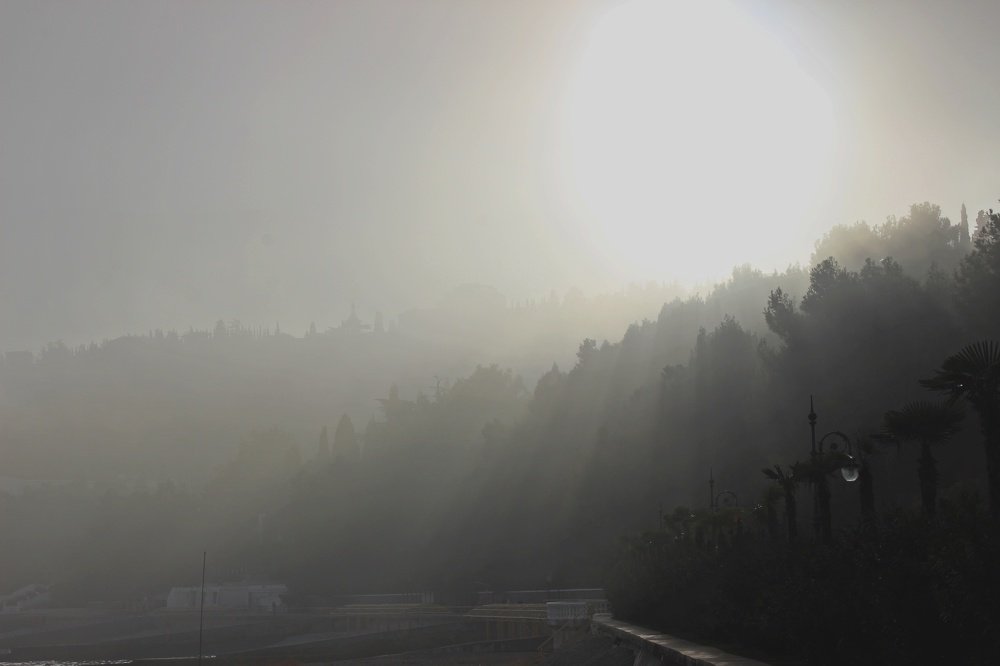 Солнце в тумане