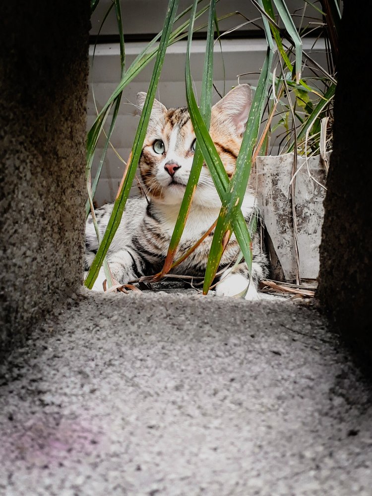 Photograph by francisco caicedo