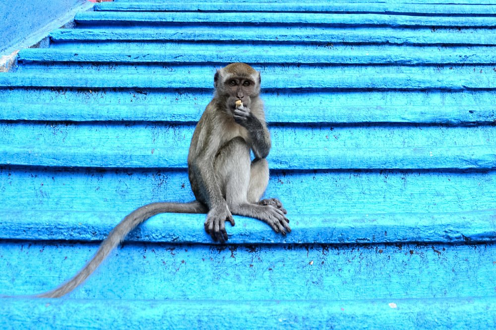 Photograph by Lola Vierse