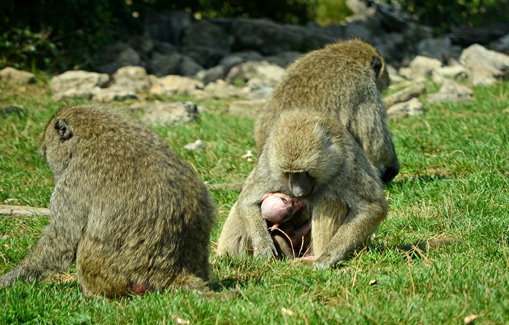 Photograph by Liliana Grup