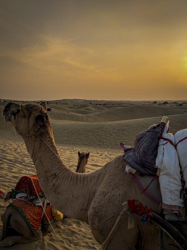 Different perspectives can give a slightest motivation for our own living hood.