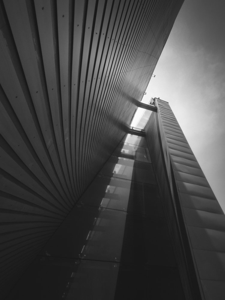 MIRADA AL CIELO
